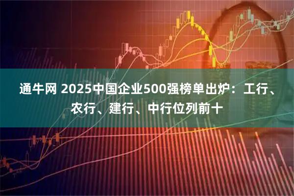 通牛网 2025中国企业500强榜单出炉：工行、农行、建行、中行位列前十