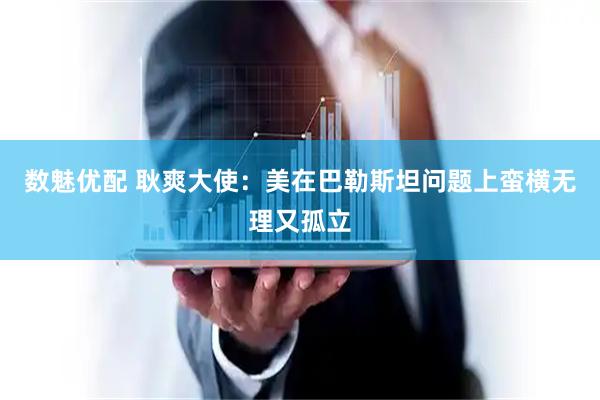 数魅优配 耿爽大使：美在巴勒斯坦问题上蛮横无理又孤立