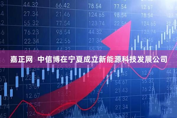 嘉正网  中信博在宁夏成立新能源科技发展公司