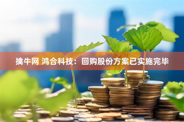 擒牛网 鸿合科技：回购股份方案已实施完毕