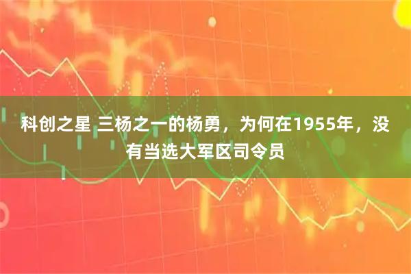 科创之星 三杨之一的杨勇，为何在1955年，没有当选大军区司令员